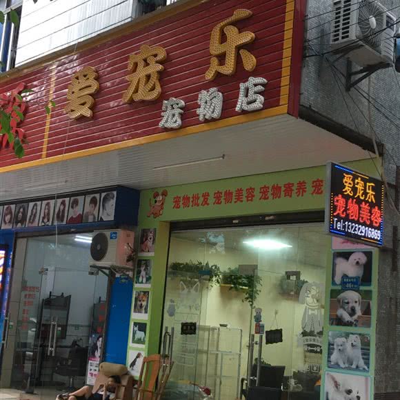爱宠乐宠物店:东莞市塘厦镇