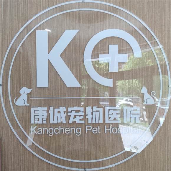康诚宠物医院:沈阳市浑南区浑南新区附近