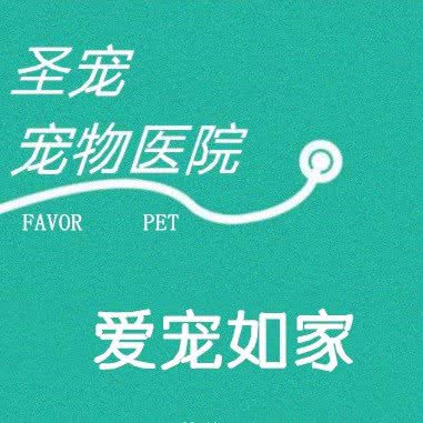 圣宠宠物医院:沈阳市浑南区浑南新区附近