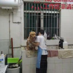 萌宠梦工坊:东莞市清溪镇