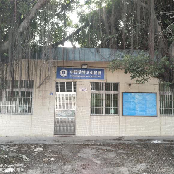 中国动物卫生监督:东莞市高埗镇