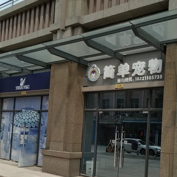 简单宠物:东莞市桥头镇