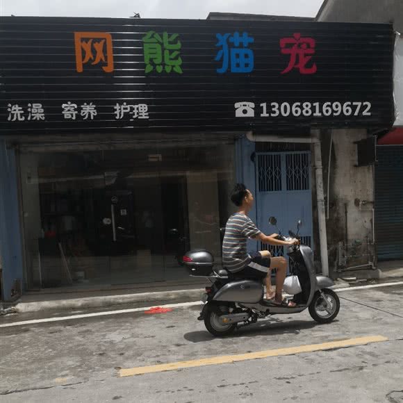 网熊猫宠:中山市石岐街道