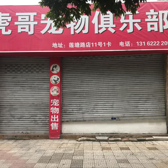 虎哥宠物俱乐部(莲塘路店):中山市石岐街道