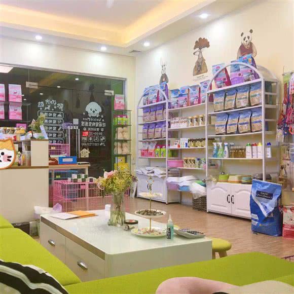 比诺宠物生活馆:中山市石岐街道