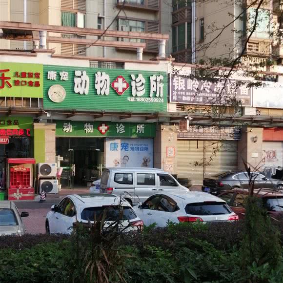 康宠动物诊所:中山市西区街道