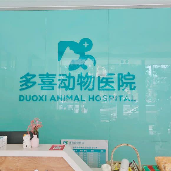 多喜动物医院犬猫综合诊疗中心:沈阳市浑南区浑南新区附近