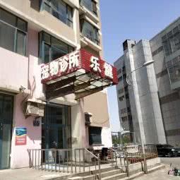 乐健宠物医院:沈阳市浑南区浑南新区附近