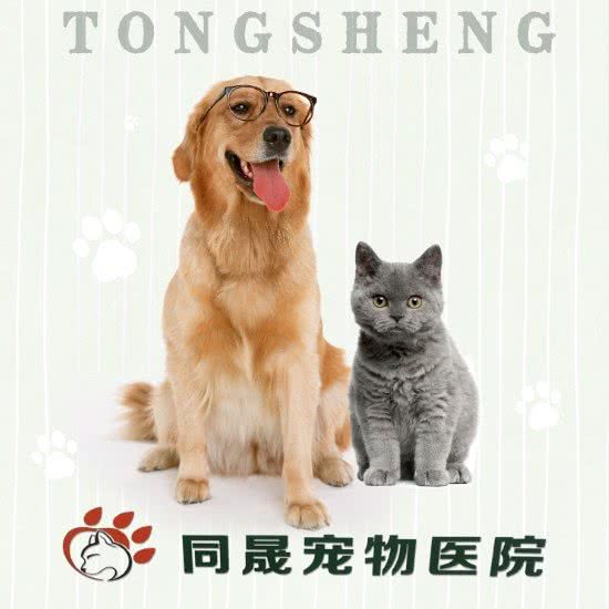 同晟宠物医院(浑南店):沈阳市浑南区浑南新区附近