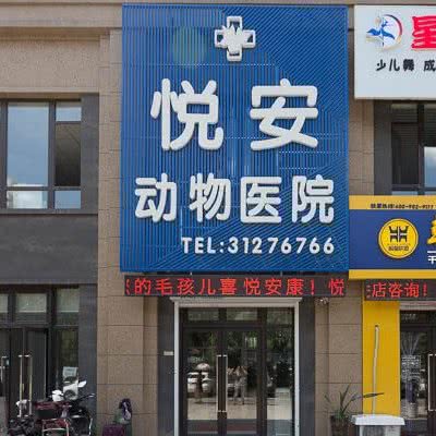 悦安动物医院:沈阳市浑南区浑南新区附近
