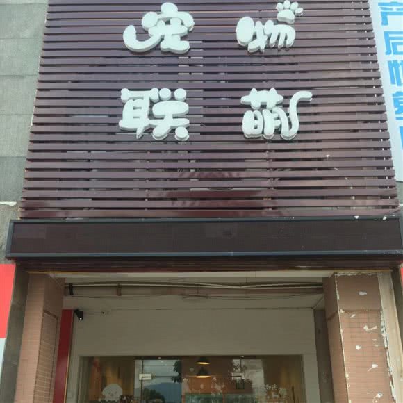 宠物联萌:中山市坦洲镇