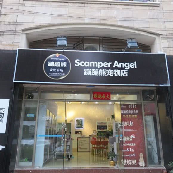 蹦蹦熊宠物店(电商旗舰店):中山市坦洲镇