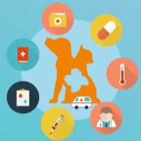 派美特宠物医院(白塔店):沈阳市浑南区浑南新区附近