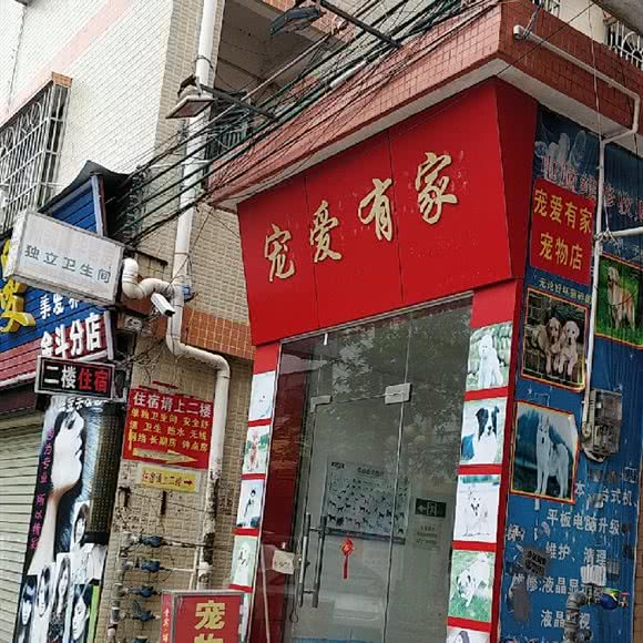 宠爱有家(金斗大街店):中山市坦洲镇