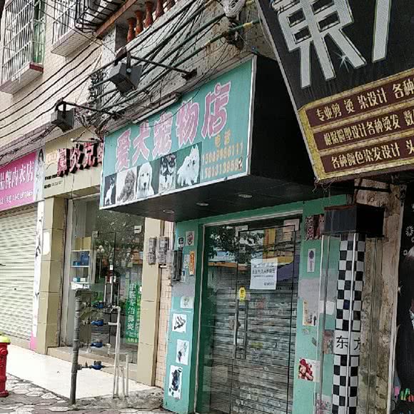 爱犬宠物店:中山市坦洲镇