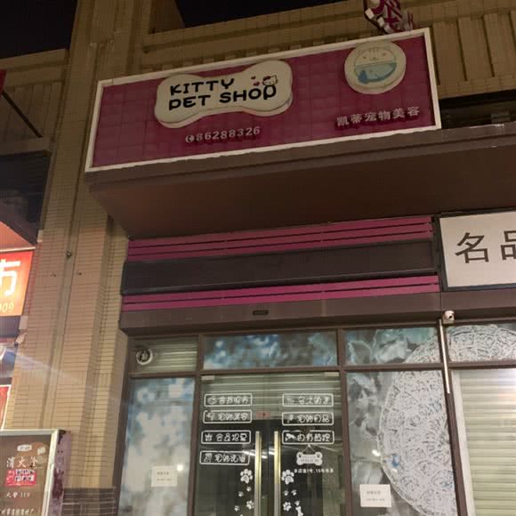 凯蒂宠物美容:中山市坦洲镇