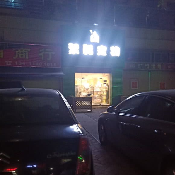 聚酷宠物:中山市坦洲镇