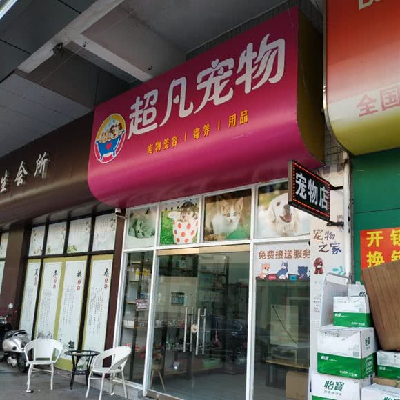 超凡宠物:中山市坦洲镇