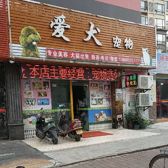 爱犬生活馆:中山市东升镇