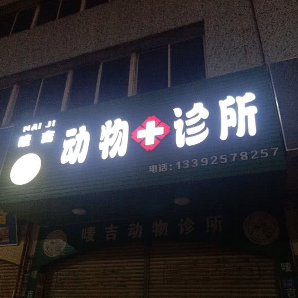 麦吉动物诊所(中山店):中山市东升镇
