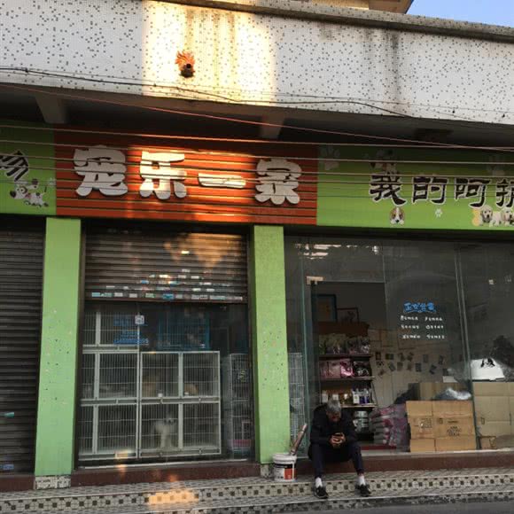 您的宠物宠乐一家:中山市古镇镇