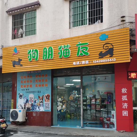 狗朋猫友:中山市古镇镇