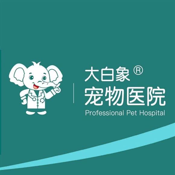 大白象宠物医院24H(奥运村店):北京城区朝阳区北沙滩附近