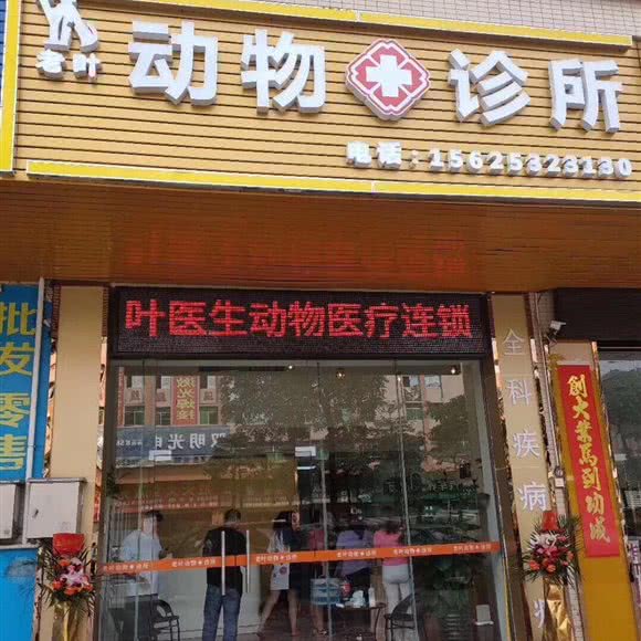老叶动物医院连锁:中山市横栏镇