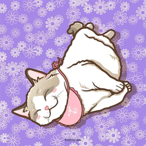 猫坞里猫咪高端洗护专门店:沈阳市浑南区奥体中心附近