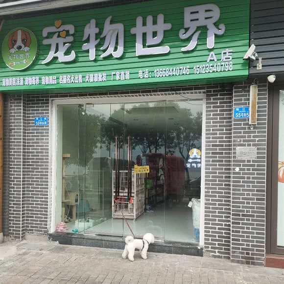 宠物世界(A店):重庆城区忠县