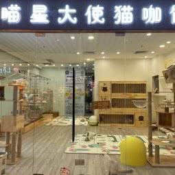 猫星大使猫咖馆:沈阳市浑南区奥体中心附近