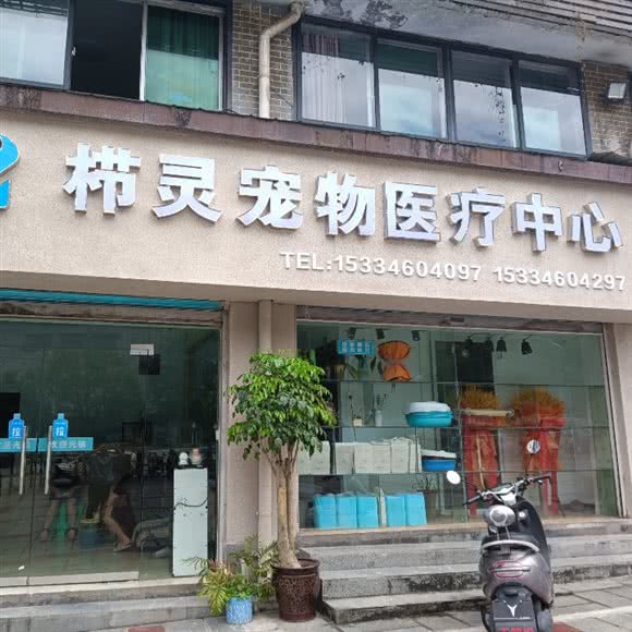 栉灵宠物狗医疗中心:重庆城区忠县