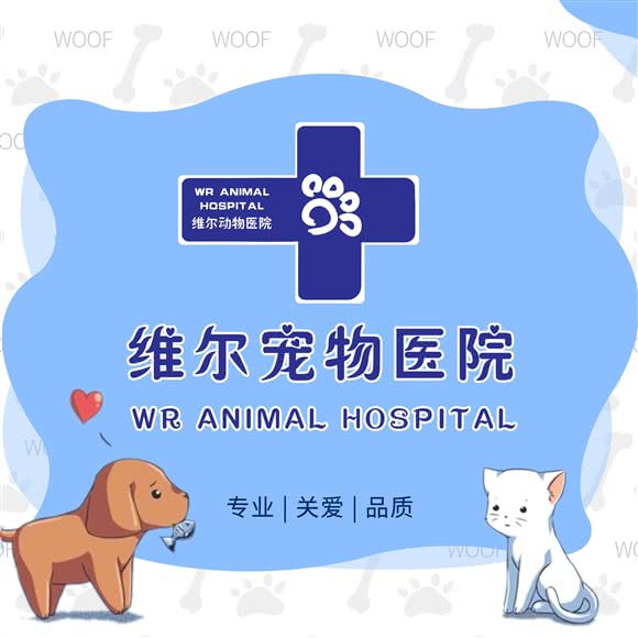 维尔动物医院·心脏科中心:沈阳市浑南区奥体中心附近