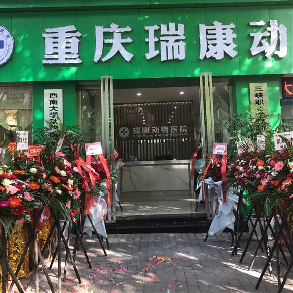 瑞康动物医院(垫江分院):重庆城区垫江县