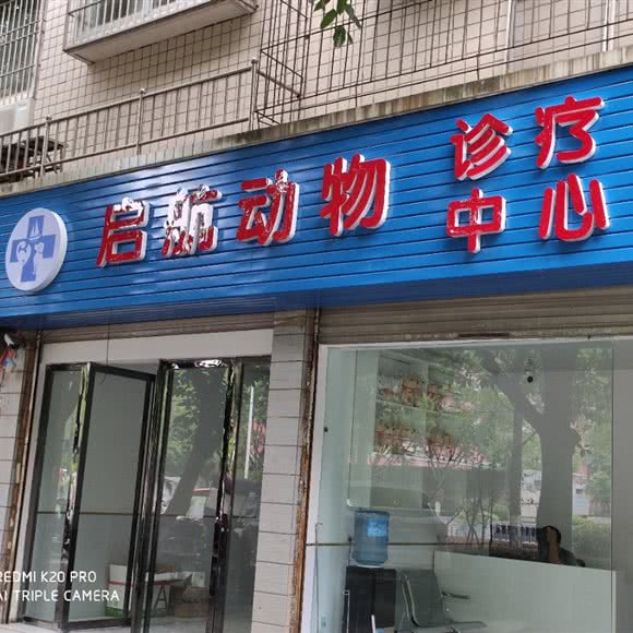 启航动物诊疗中心:重庆城区垫江县