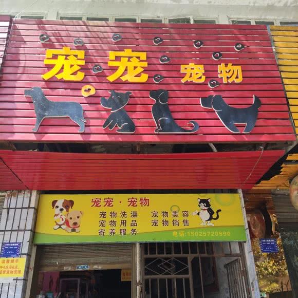 宠宠宠物:重庆城区酉阳土家族苗族自治县
