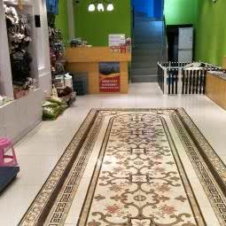 萌脚印宠物会所:沈阳市浑南区沈阳体育学院附近