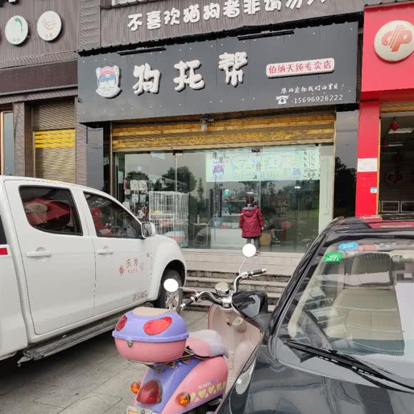 狗托帮伯纳天纯专卖店:重庆城区秀山土家族苗族自治县