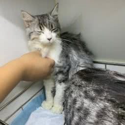 David 取洗送:北京城区朝阳区东大桥附近