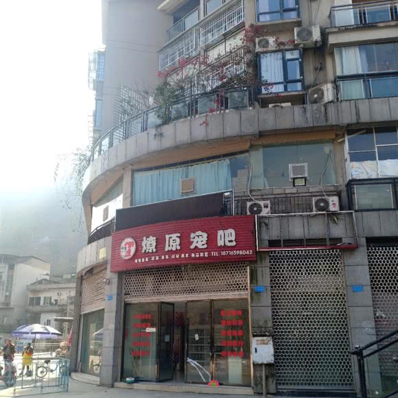 燎原宠吧:重庆城区巫溪县