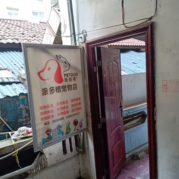 派多格宠物店(商业街店):重庆城区城口县