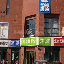 你宠我爱动物医院:天津城区