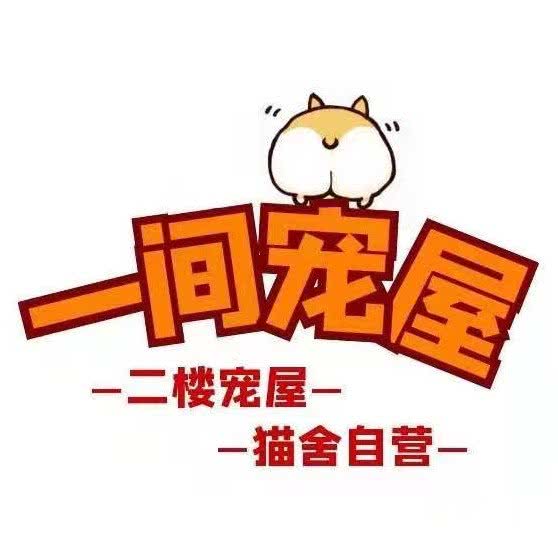 一间宠屋 精品猫舍犬舍:沈阳市浑南区沈阳理工大学附近