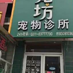 爱宠坊宠物诊所:石家庄市