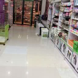 微微宠物:秦皇岛市