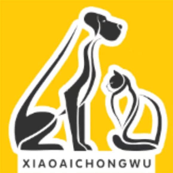 小爱宠物生活馆:张家口市