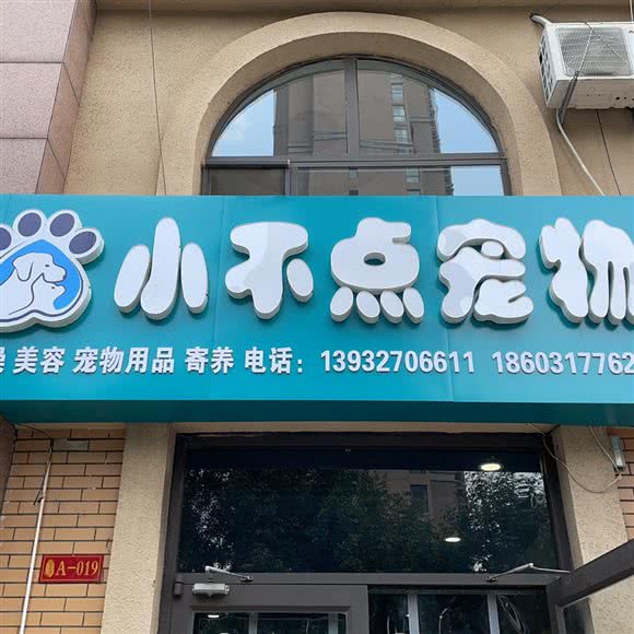 小不点宠物:沧州市