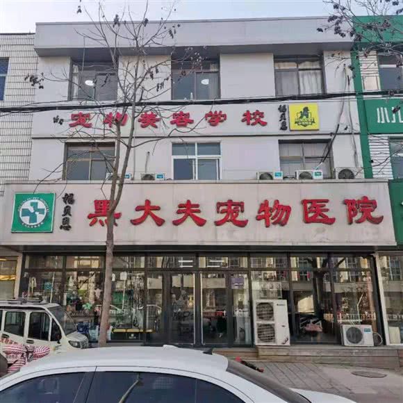 福贝恩黑大夫宠物医院(清池分院):沧州市