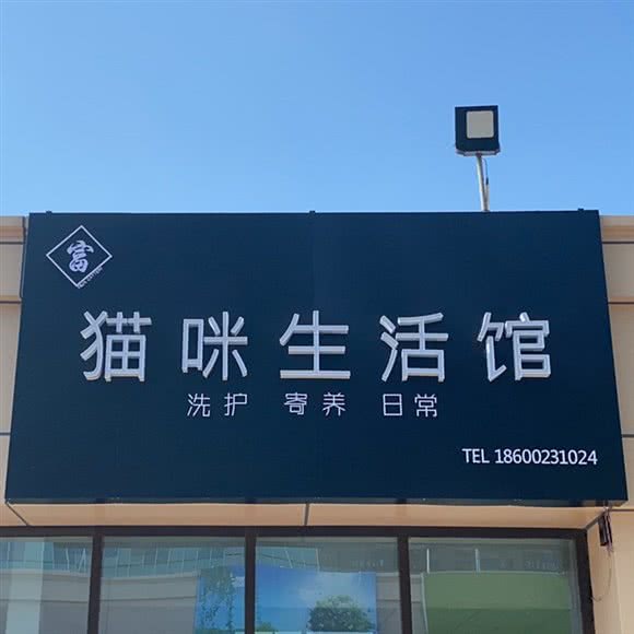 猫咪生活馆:廊坊市