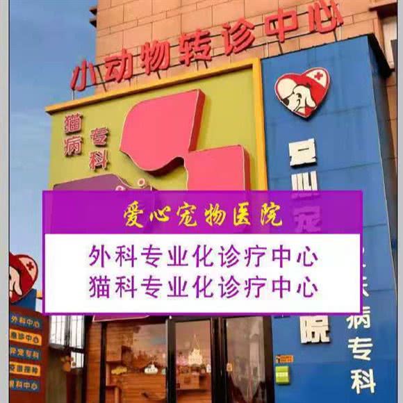 爱心宠物医院猫专科小动物转诊中心:衡水市